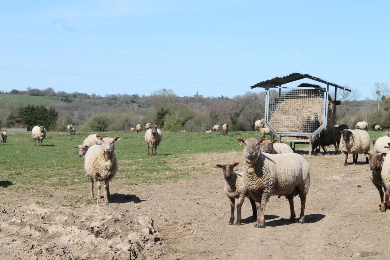 Saint-Maurice-en-Cotentin La Forgeヴィラ エクステリア 写真